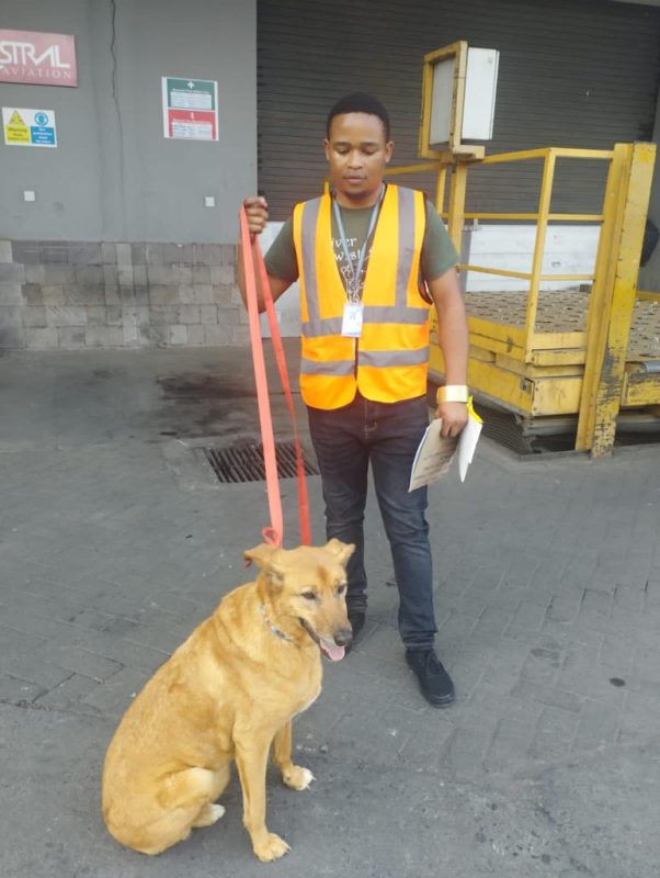 Happy Pets Logistics Ltd