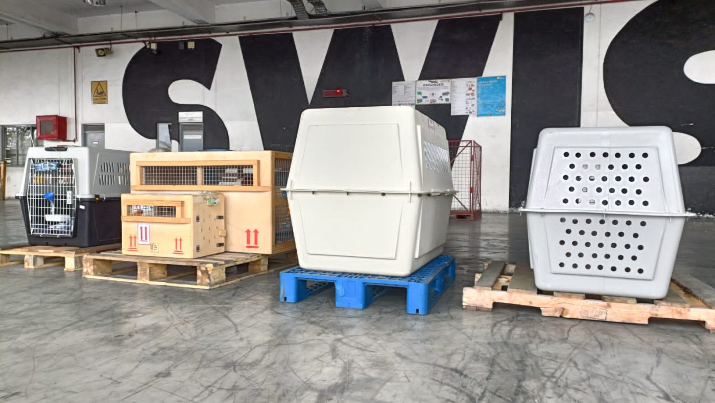 Happy Pets Logistics Ltd