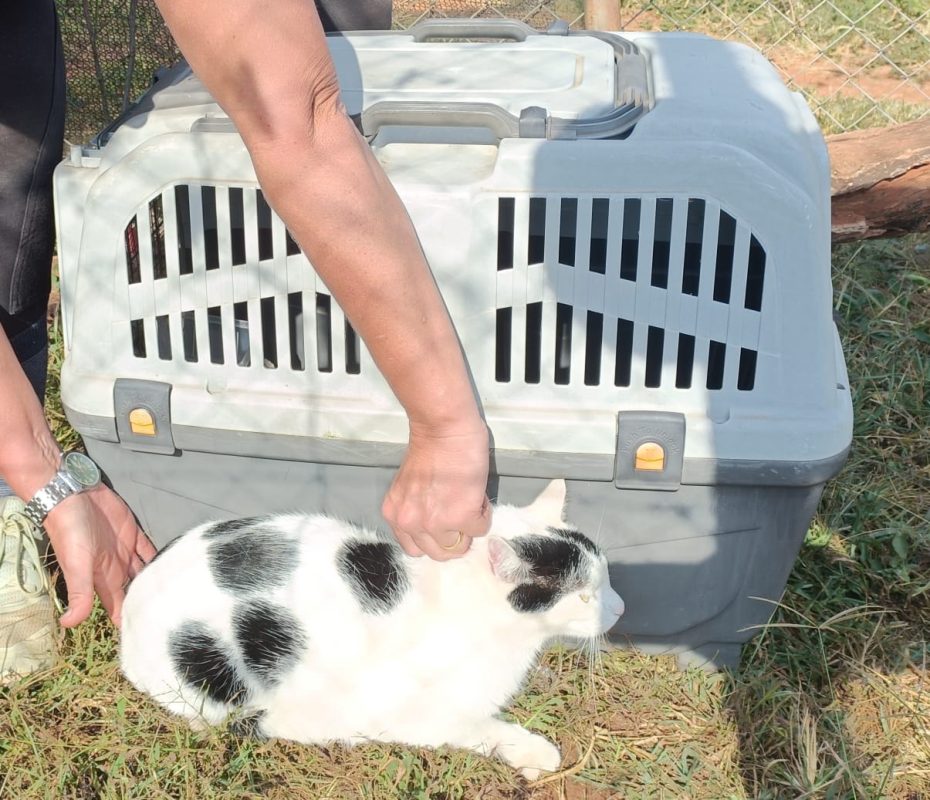 Happy Pets Logistics Ltd