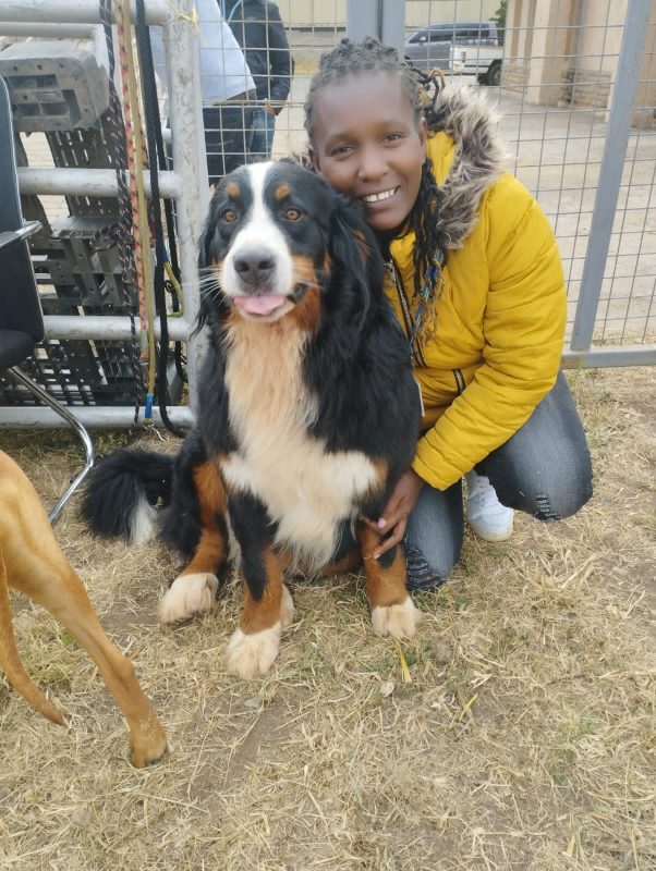 Happy Pets Logistics Ltd